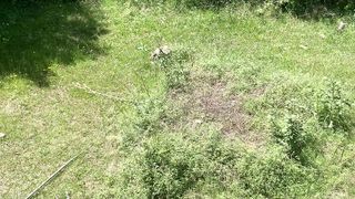 Fire on bushes