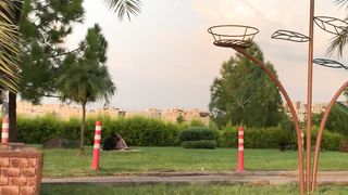 Nature at its best 2