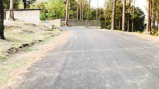 travelling in the woods