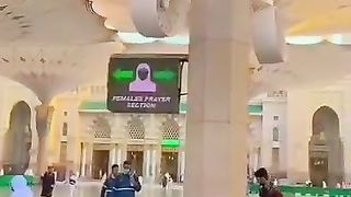 Video viral on febspot
