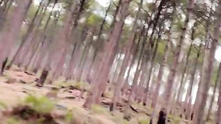 Forrest where no one goes