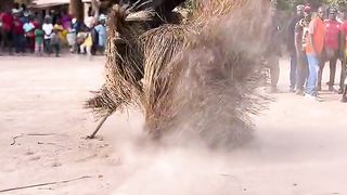 Traditionnal dance