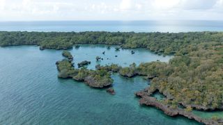 "Island Reverie: Embracing Tranquility in Hidden Paradises"