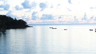 "Island Utopia: Unmasking the Allure of Remote Paradise"
