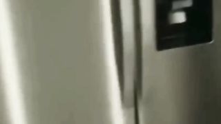 Funny cats 85