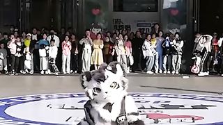 La Danse de la Mascotte