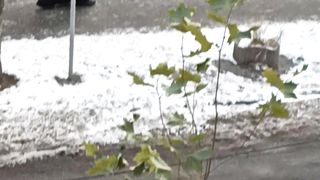 Прогулка Киевом