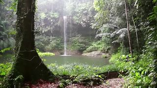 Magnifique Surat Al-Ĥijr avec Pluie et les Sons de la Forêt - Pour Se Détendre , Méditer Et Dormir