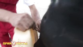 Встал-на-пляже-Ржака-Угарный-прикол-Смея_304.