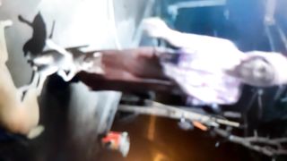 Cat dancing with owner