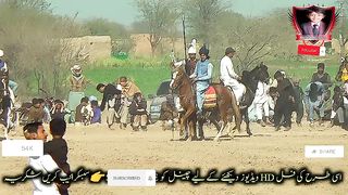 #febspot#foryou #foryoupage#horses#ridings#vedios #fyp #Ahmad#horsepower#trendin41