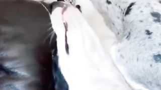 I WAS NOT EXPECTING THAT