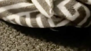 my blanket likes popcorn