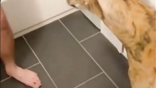 door it’s me, Paul. pls open