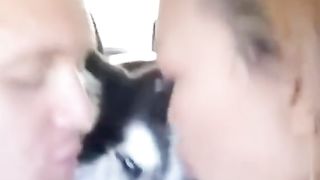 my dogs hate kisses