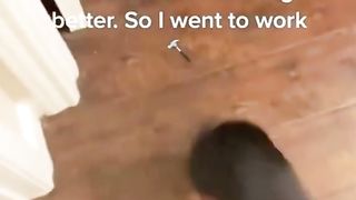 Jim’s fixer pupper reveal