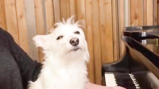 this is Bradford, he believes music soothes the soul