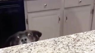 target acquired
