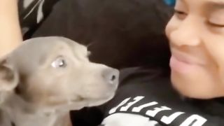 his reaction