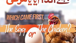 پہلے انڈہ آیا یا مرغی؟ ???????? انڈہ کھانے کے طریقے اور فوائد