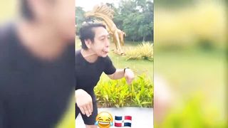 Funny Videos Compilation ???? Pranks - Amazing Stunts 3