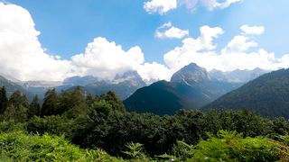 Nature 2 2