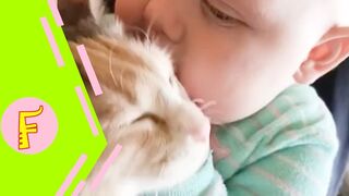 Baby and Cat Fun and Cute - Funny Baby Video 6