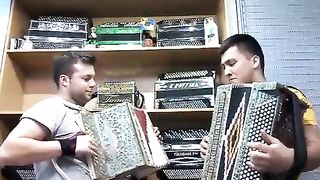 Cana Verde very well played by João Tomás and Daniel Sousa. Subscribe to my channel for more videos!