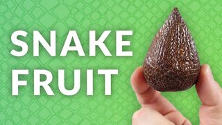 Snake Fruit PALM TREE Time-lapse - 162 Days