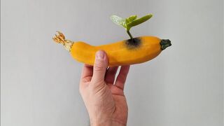 Yellow Zucchini Time-lapse - 77 DAYS