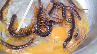O.M.G Deep Fried Centipede & Egg