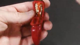 158 Days in 40 Seconds - Peter Pepper
