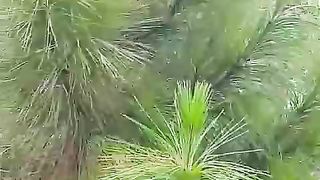 natural beauty 10