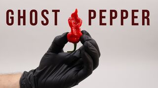 GHOST PEPPER Time-lapse - 185 Days