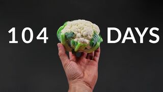 CAULIFLOWER Time-lapse