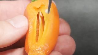 123 Days In 36 Seconds - Orange Mini Bell Pepper