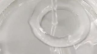 113 Days In 33 Seconds - Dragon Fruit Cactus 2