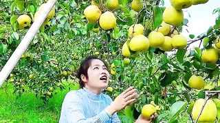 Fruit ???????????? 2