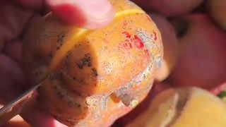 Fruit ???????????? 3