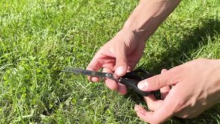 Put Toothpaste on Scissors! Didn't expect it to be so Effective, any Home can Use it