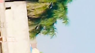Tree ???? 2