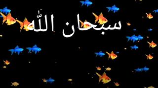 sobhana allah