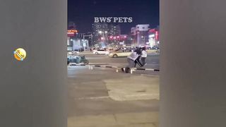 FUNNIEST CAT AND DOG VIDEOS 2023 8