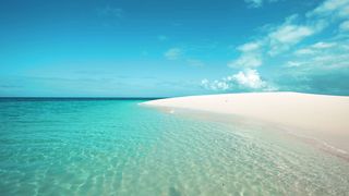 "Coral Dreams: Unveiling the Charms of the Maldives"