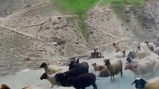 سنہرا دور ۔۔