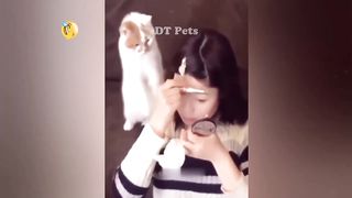 Best Funniest Cats ???? - Don't try to hold back Laughter ???? Funny Cats 2023
