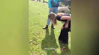 Funny Moments Of The Week / Funny Fails / Like A Boss Compilation