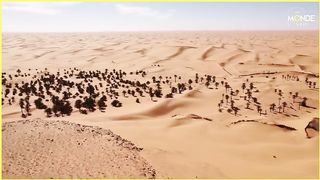 Algérie : le miracle de l'eau dans le désert algérien avec la foggora - Un Monde à part