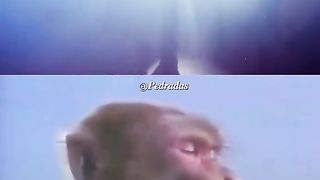 ???????????????????????????? - ???????????????????????? ????????????????????????