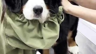 Those eyes tell us everything